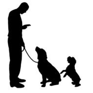 Vector Silhouette Of People N594