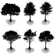 Trees with roots silhouettes black and white vector icon set