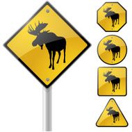 Moose crossing N2