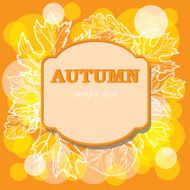 autumn leaf background N38