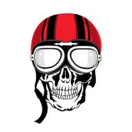 skull illustration N13