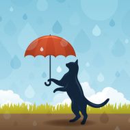 Cat with umbrella N2