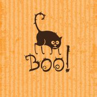 Halloween cat Boo!