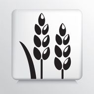 Square Icon with Simple Wheat Stalk icon Black Silhouette