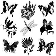 tropical plants and insects