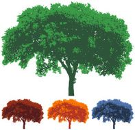 Seasonal Tree Silhouettes