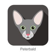 Peterbald Cat Cat breed face cartoon flat icon design