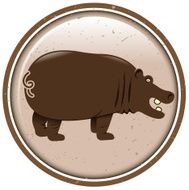 Hippopotamus N9