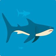 Shark N14