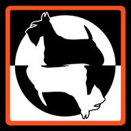Scottish terrier N2