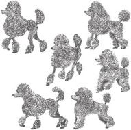 Poodle Silhouette N2