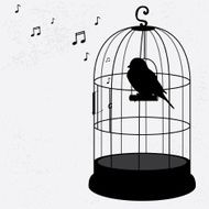 Sparrow in the cage