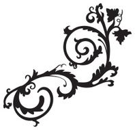 Curvy shape N2