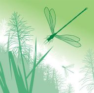Dragonfly in Green