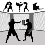 MMA N2