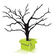 black tree in the green box