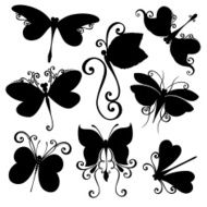 Vector Set of Dragonflies