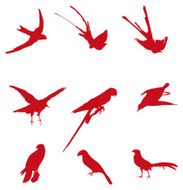 Cool birds to use in your design N2
