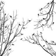 vector sparrow flock on tree branches