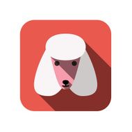 Poodle animal face ui flat design