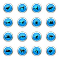 Blue Icons - Pets