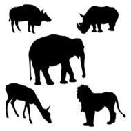 Animals Silhouette N2
