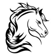 Horse Head N14