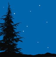 Christmas night N10
