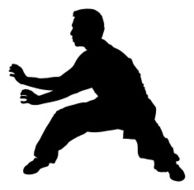 Martial Arts Silhouette N7