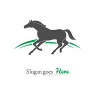 Horse N79