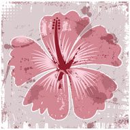 grunge hibiscus