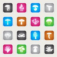 Multicolor Icons - Edible Mushrooms