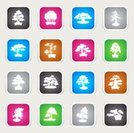 Multicolor Icons - Bonsais