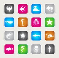 Multicolor Icons - Fishes