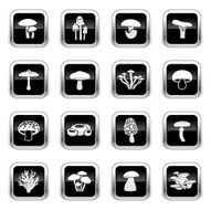 Supergloss Black Icons - Edible Mushrooms