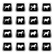 Supergloss Black Icons - Dogs N2