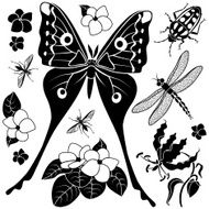 tropical insects and plants