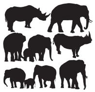 Elephant and the Rhinoceros silhouettes