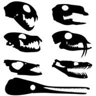 Animal Skulls Silhouettes Cat Kangaroo Fox Deer Fish Garpike