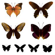 butterfly set N10