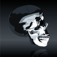 Homosapien