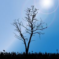 Vector silhouette of tree N5