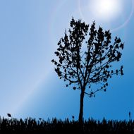 Vector silhouette of tree N6