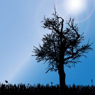Vector silhouette of tree N7