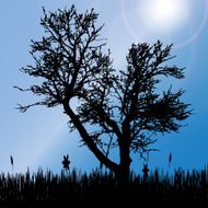 Vector silhouette of tree N8