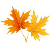 Autumn maple leaves isolated on white Vector