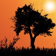 Vector silhouette of tree N11