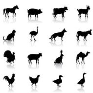 Icon set of farm animals on white background