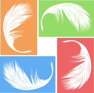 feather N27