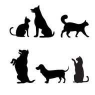 Cats and dogs set